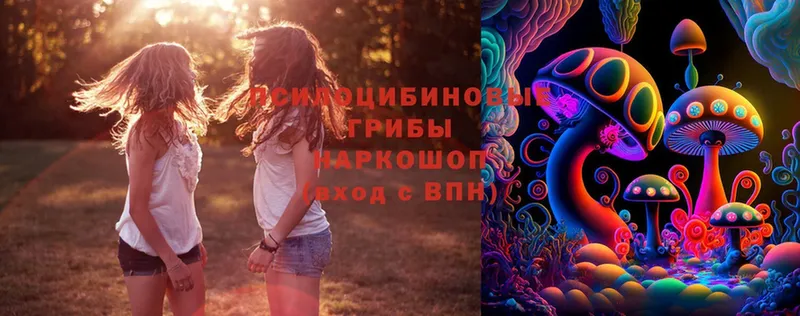 Псилоцибиновые грибы Magic Shrooms  купить закладку  Калязин 